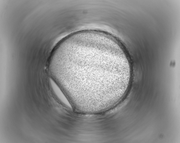 X0000090441497200708102016