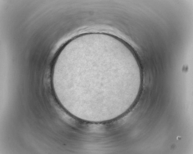 X0000090441498200708102016