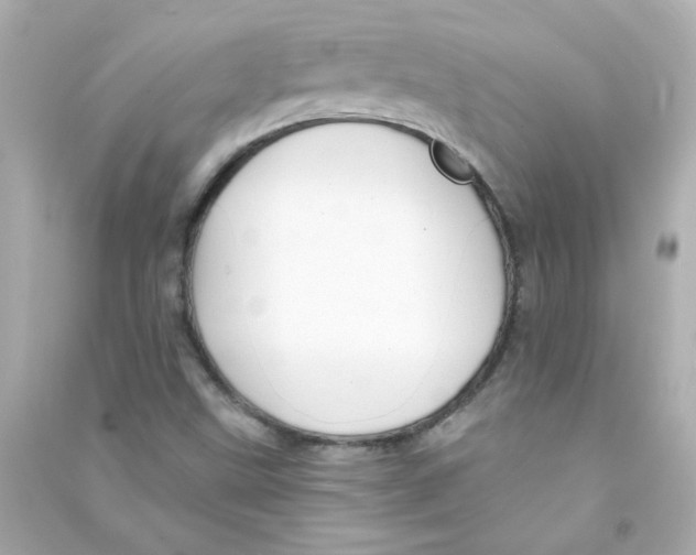 X0000090441499200708102016