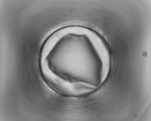 X0000090441500200708102016