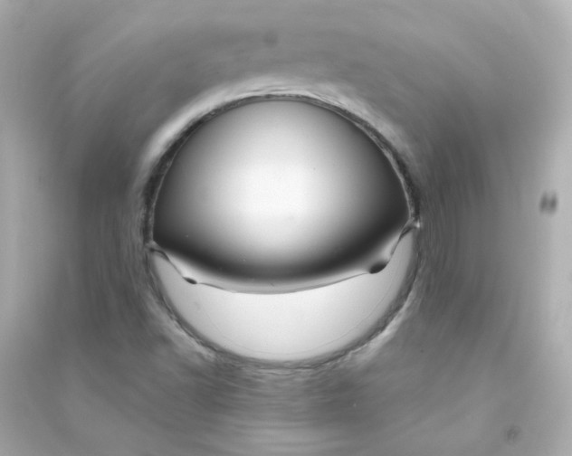 X0000090441502200708102016