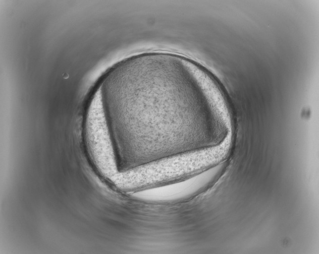 X0000090441503200708102016