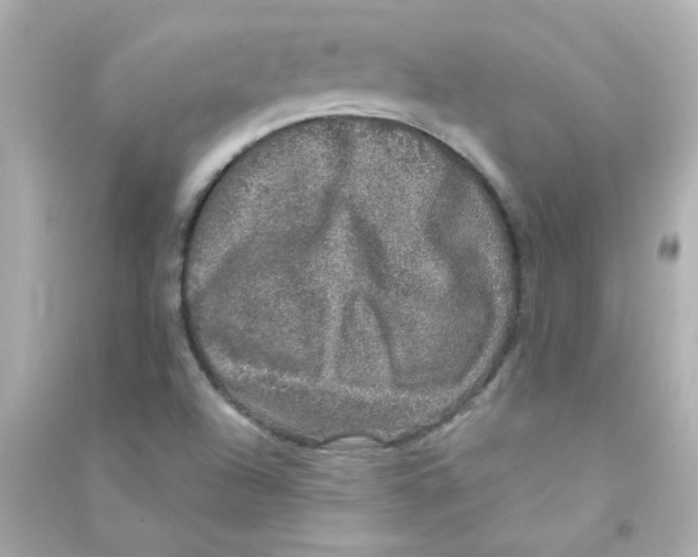 X0000090441504200708102016