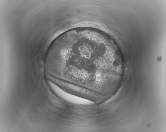 X0000090441505200708102016