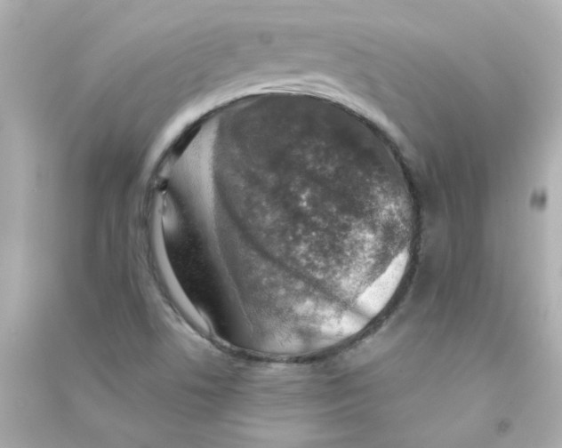 X0000090441506200708102016