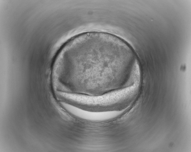 X0000090441507200708102016