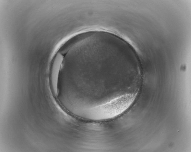 X0000090441508200708102016