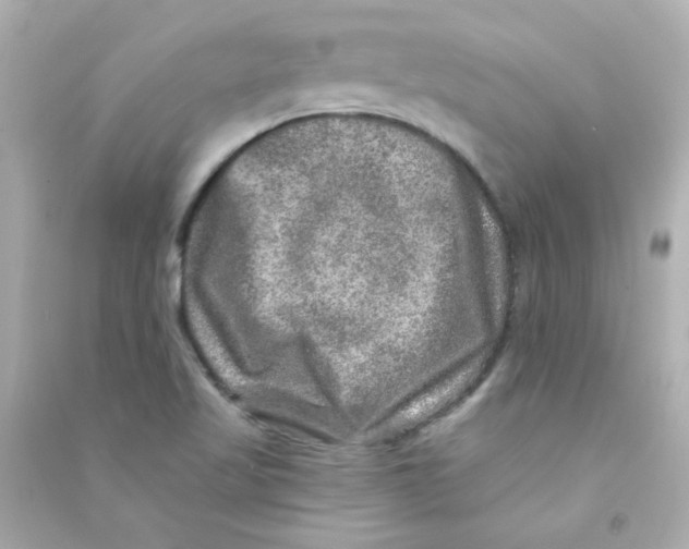 X0000090441509200708102016