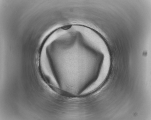 X0000090441510200708102016