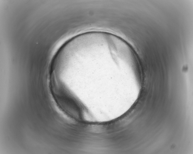 X0000090441511200708102016