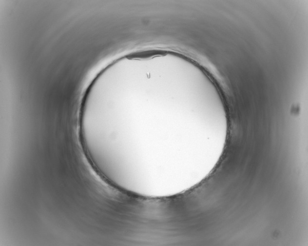 X0000090441512200708102016