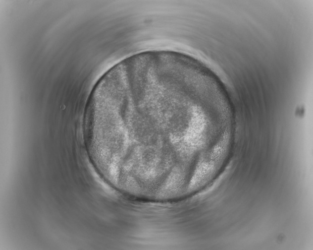 X0000090441513200708102016