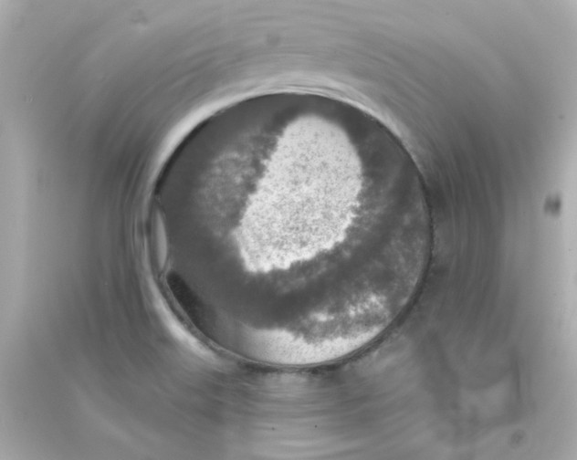 X0000090441515200708102016