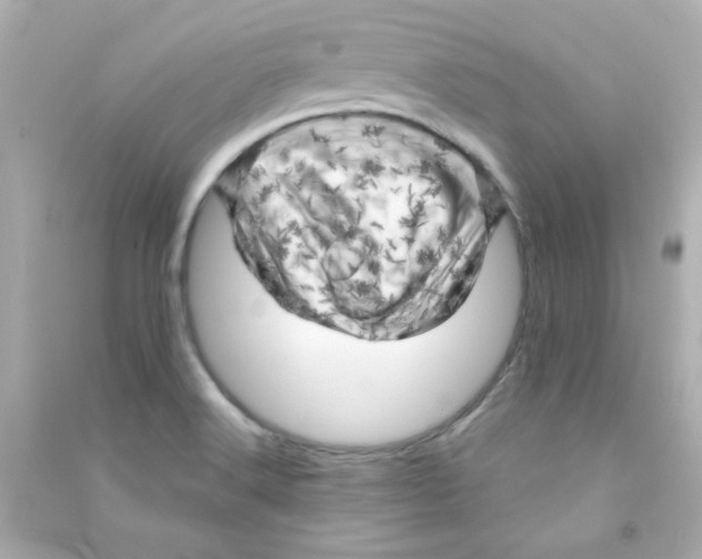 X0000090441516200708102016