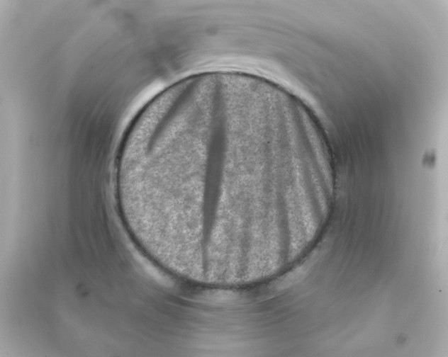 X0000090441517200708102016