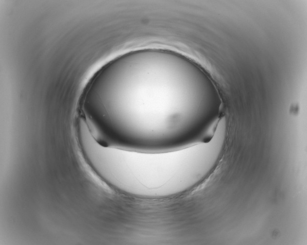 X0000090441518200708102016