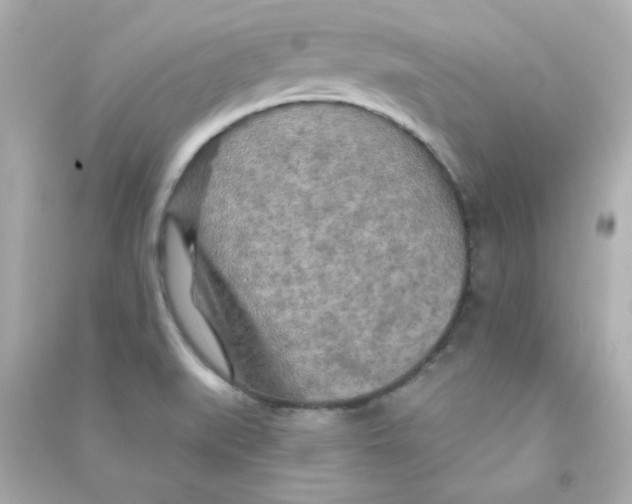 X0000090441519200708102016