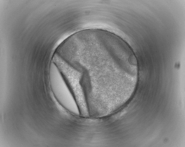 X0000090441521200708102016