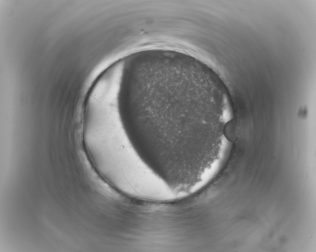 X0000090441522200708102016