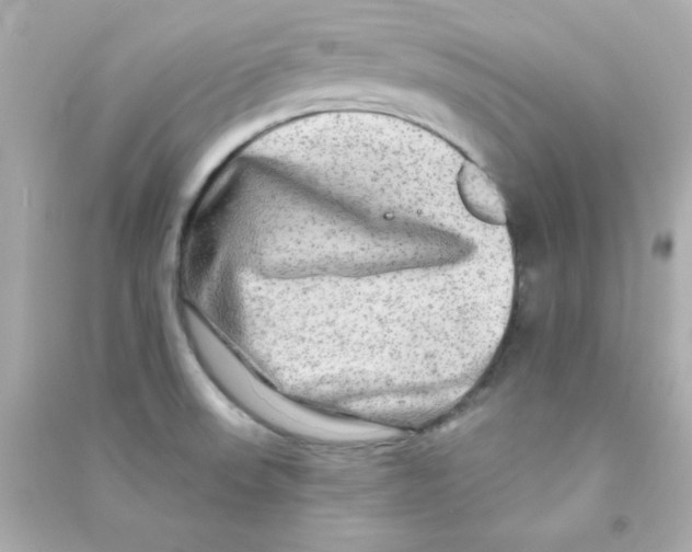 X0000090441523200708102016