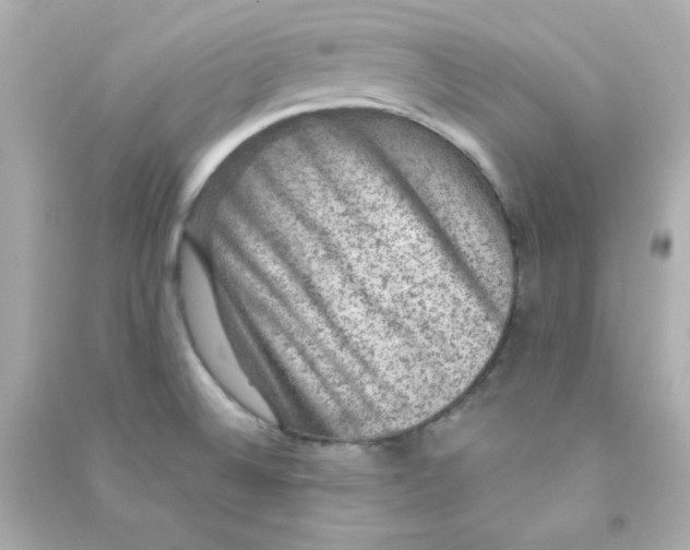 X0000090441524200708102016