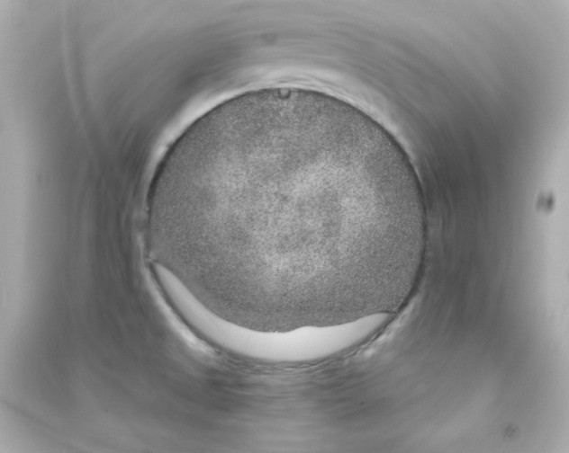 X0000090441525200708102016