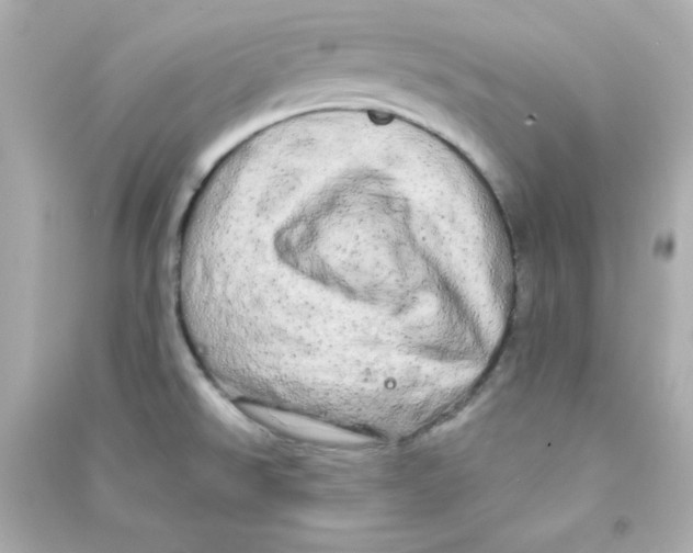 X0000090441526200708102016