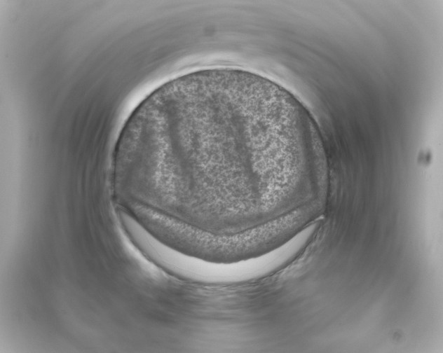 X0000090441527200708102016