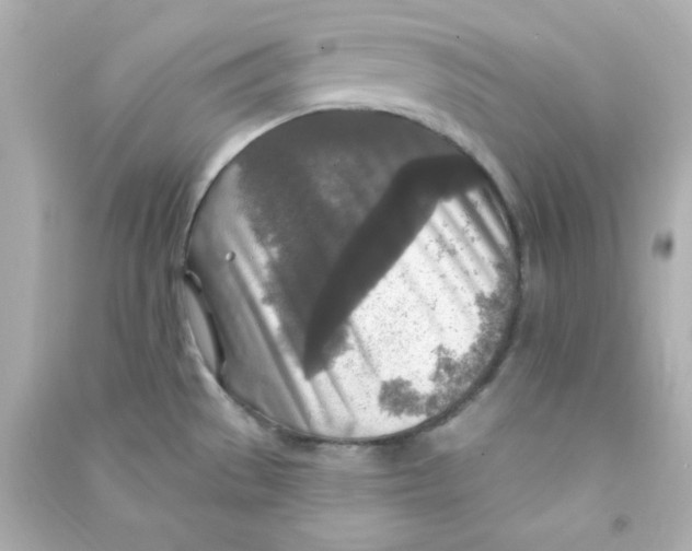 X0000090441529200708102016