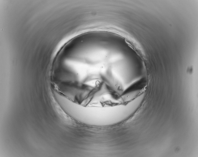 X0000090441530200708102016