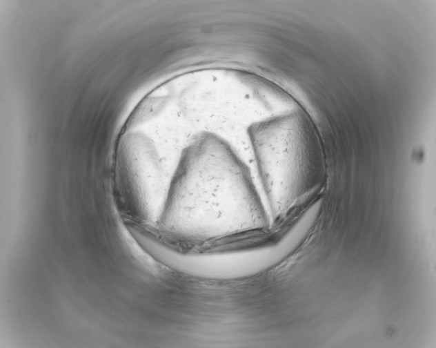 X0000090441532200708102016