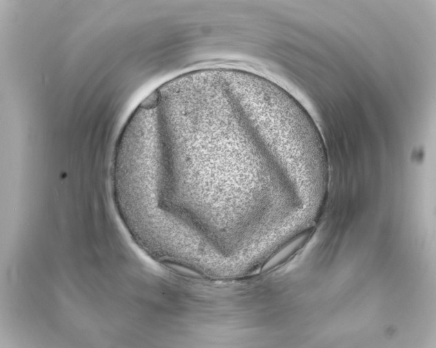 X0000090441533200708102016