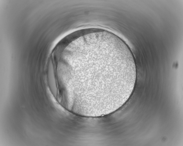 X0000090441534200708102016