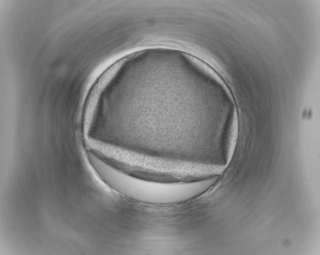 X0000090441536200708102016