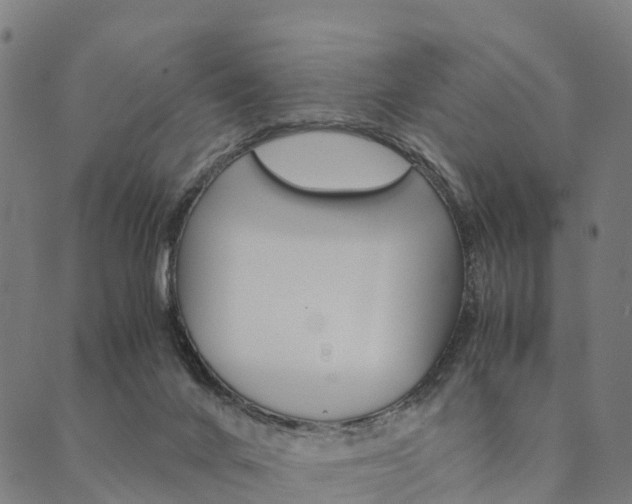 X0000090450024200707130940