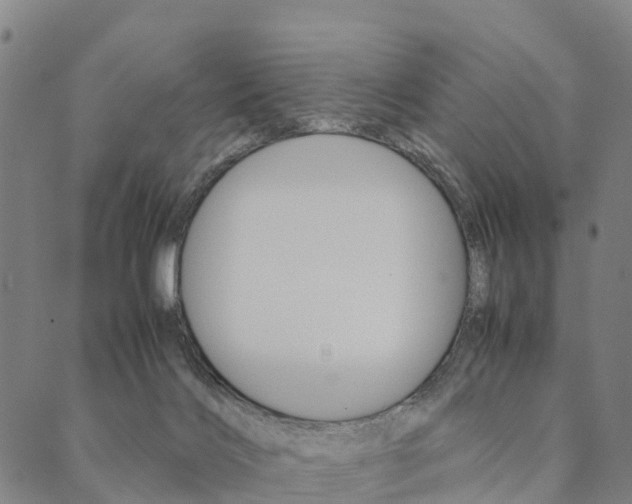X0000090450028200707130940