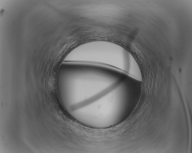 X0000090450035200707130940