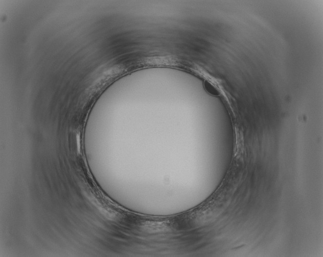 X0000090450061200707130939