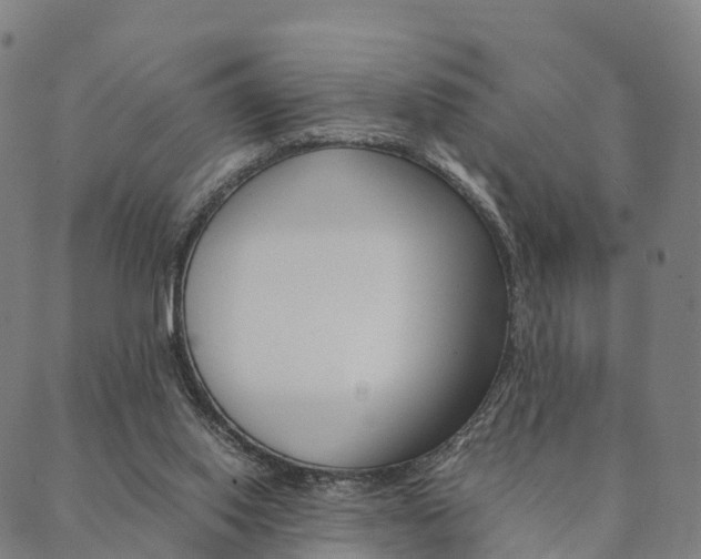 X0000090450062200707130939
