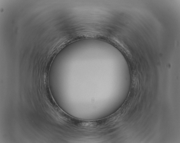 X0000090450117200707130938