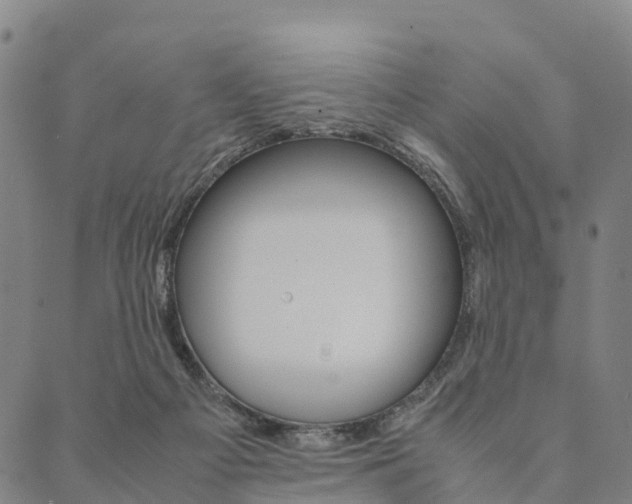 X0000090450121200707130938