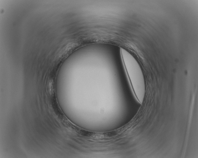 X0000090450123200707130938