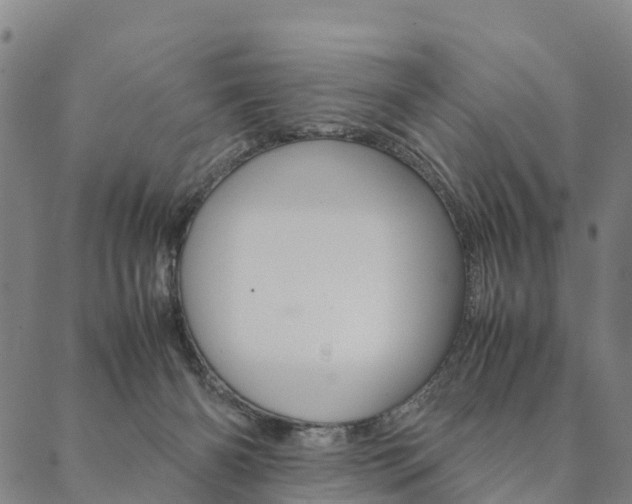 X0000090450126200707130938
