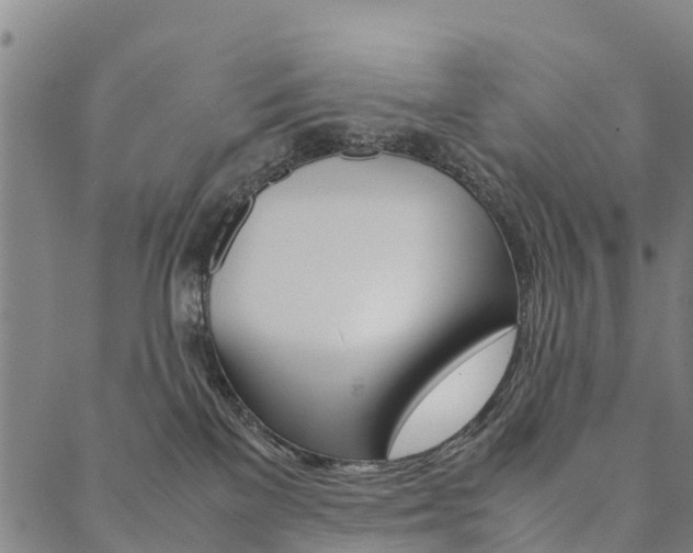 X0000090450137200707130938