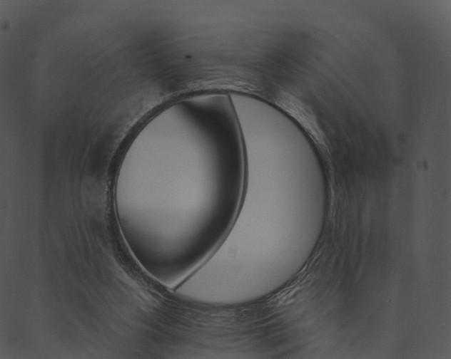 X0000090450156200707130937