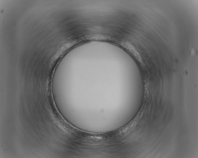 X0000090450159200707130937