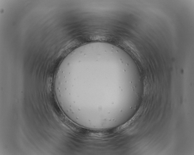 X0000090450171200707130937