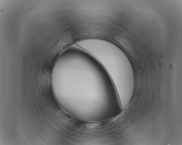 X0000090450172200707130938