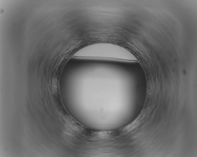 X0000090450184200707130938