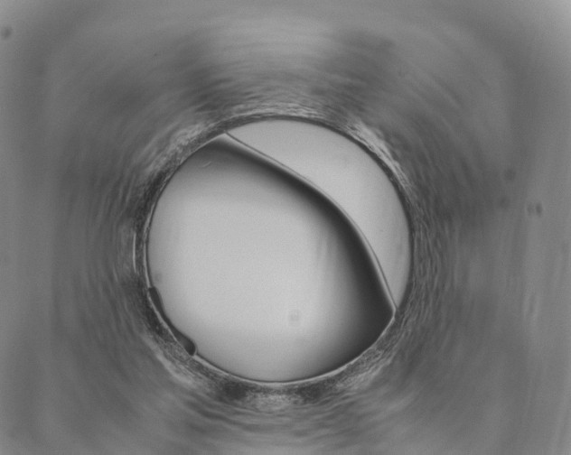 X0000090450205200707130937